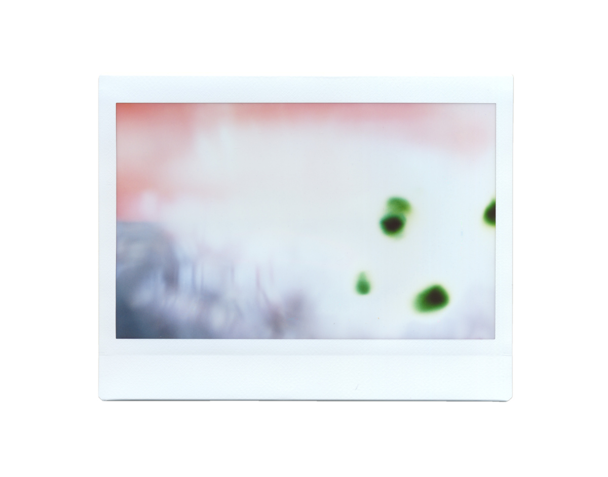 The Dissonance Polaroids