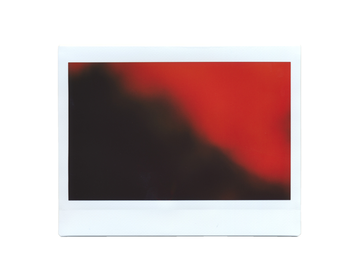 The Dissonance Polaroids