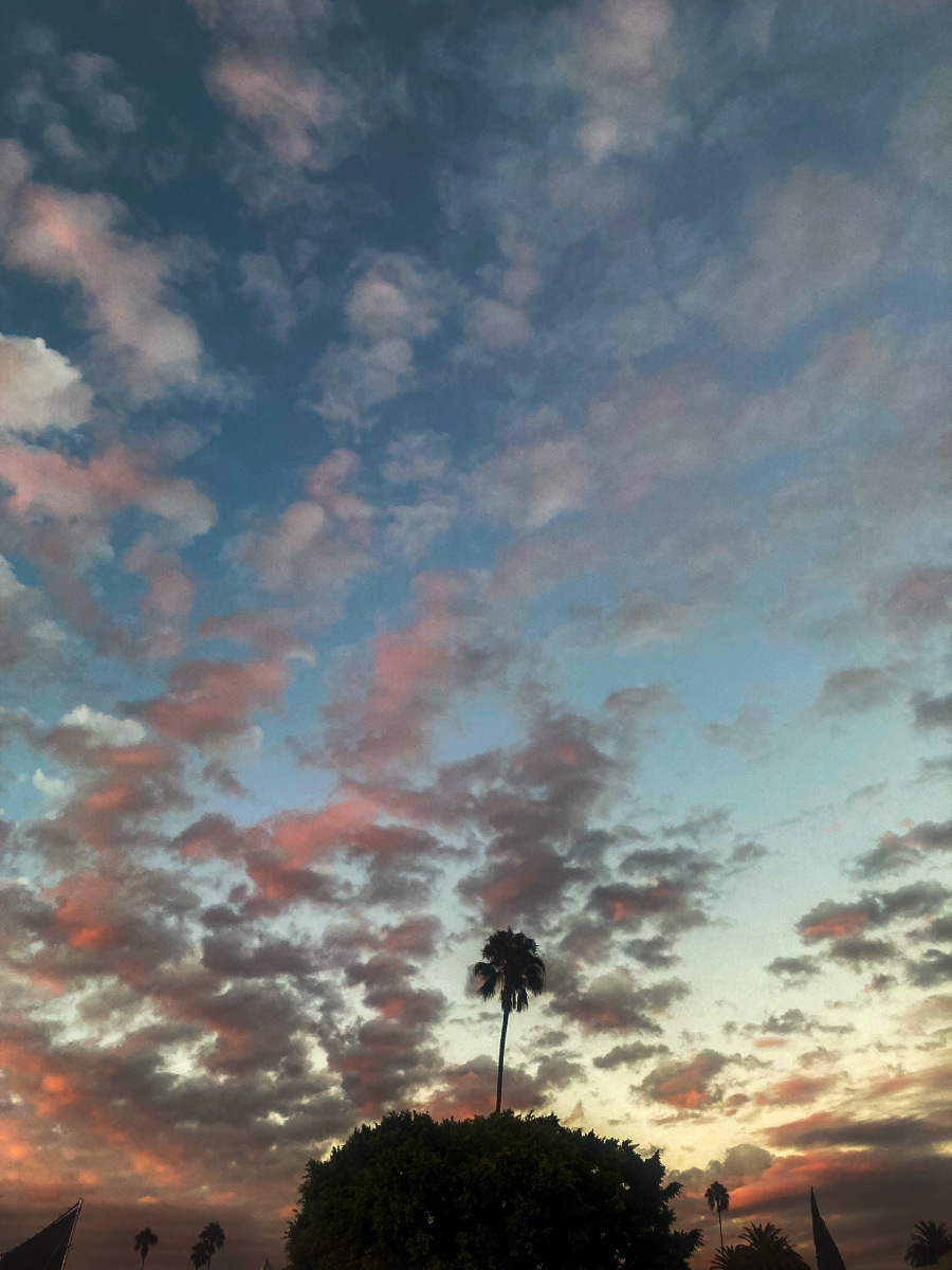 Hollywood Forever