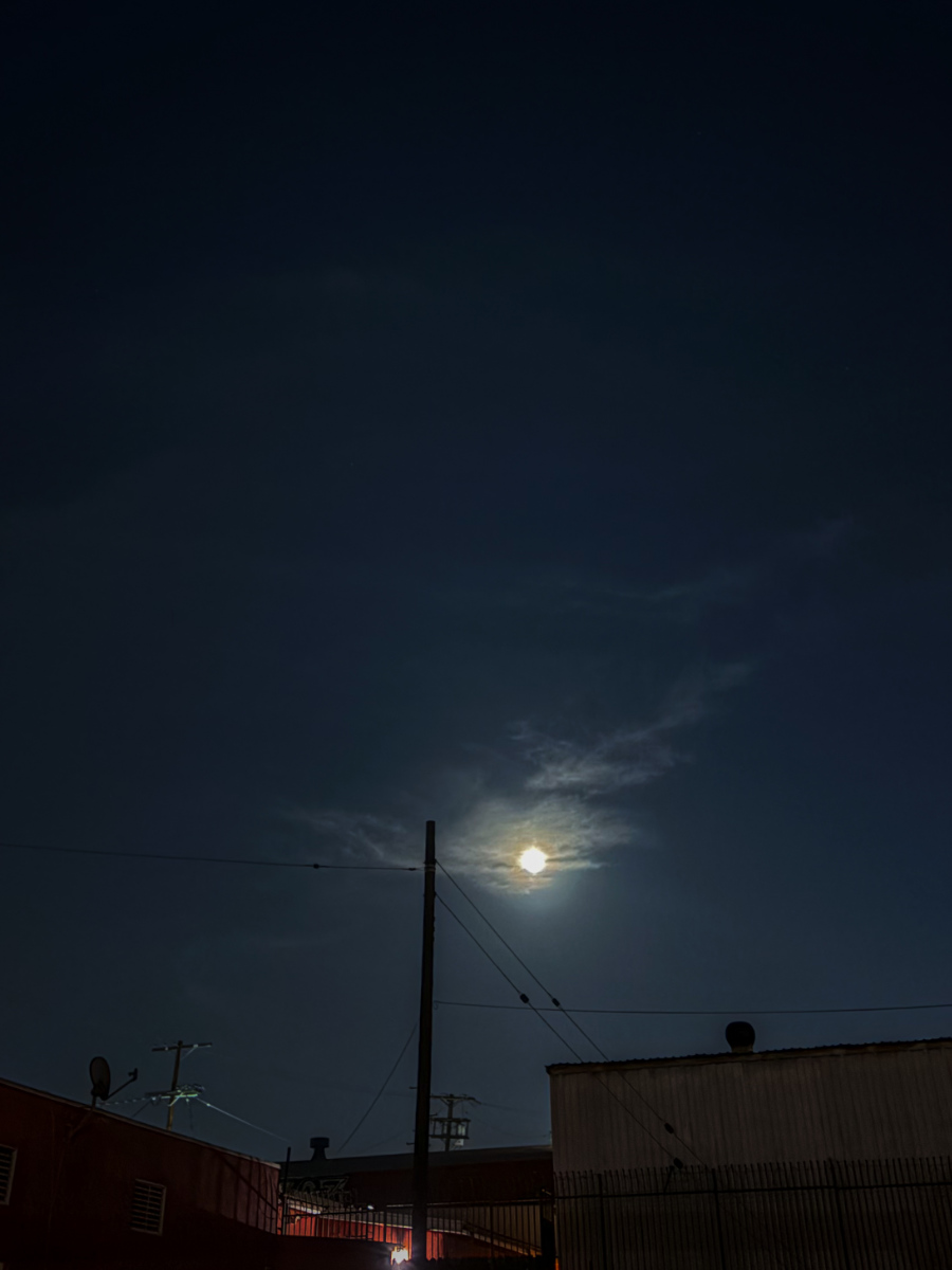 Moonshine