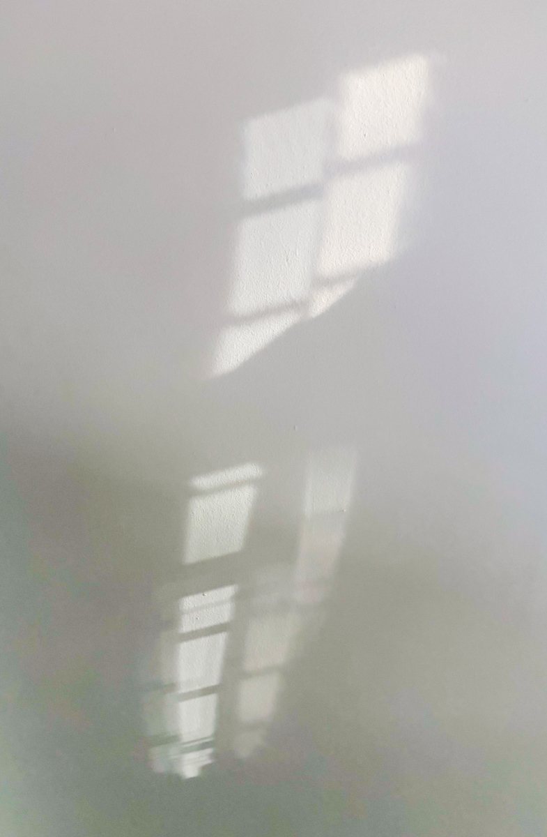 Morning Light